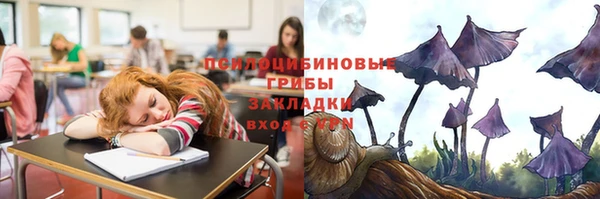 ГАЛЛЮЦИНОГЕННЫЕ ГРИБЫ Алексеевка