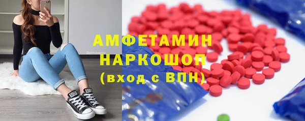 СК Алексин