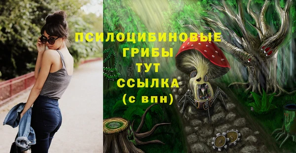 МДПВ Алзамай