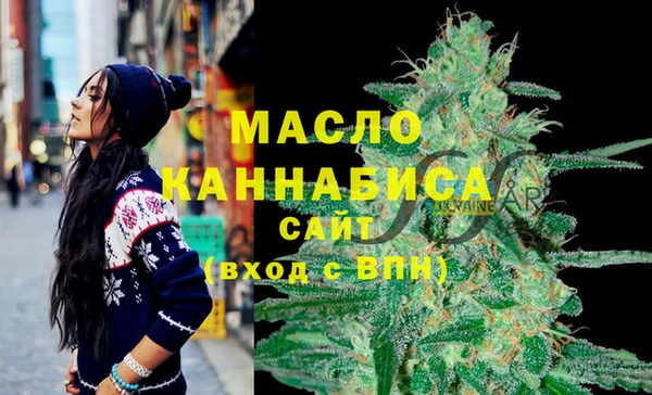 СК Алексин